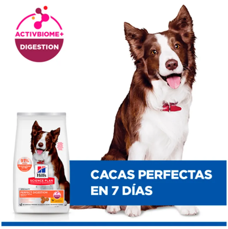 Hill's Science Plan Adulto Perfect Digestion Medium
