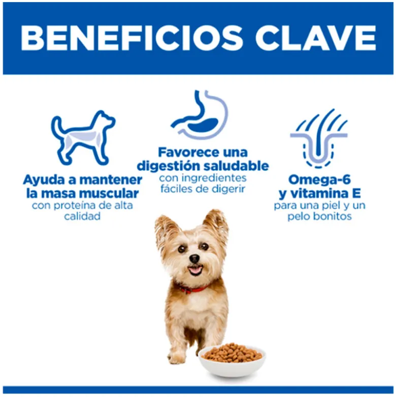Hills Science Plan Canine Adult Small & Mini con Pollo