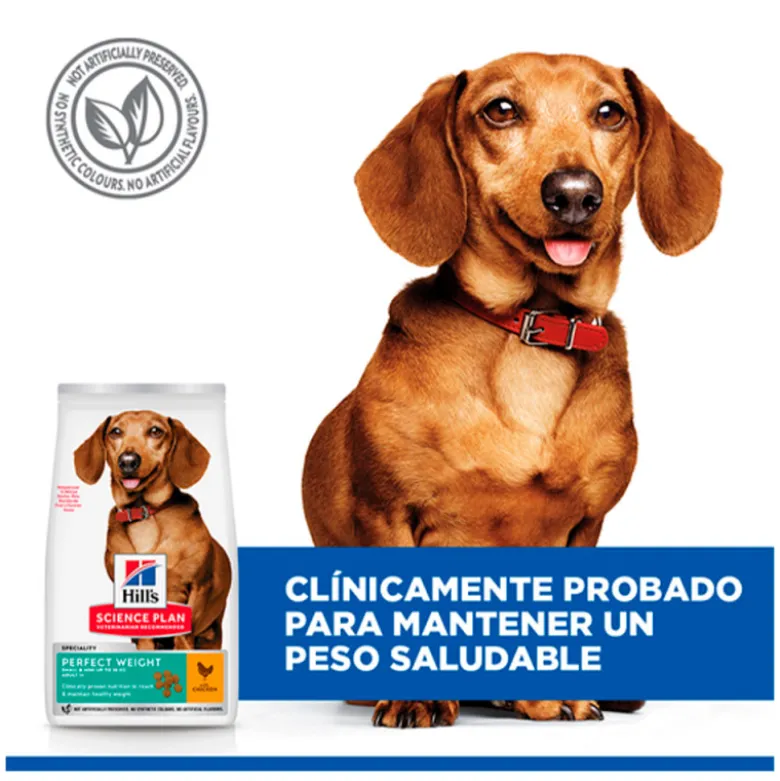 Hills Science Plan Canine Adult Mini Perfect Weight Con Pollo