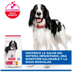 Hill's Science Plan Canine Adult con Pollo Razas Medianas