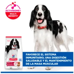 Hills Science Plan Canine Adult Medium con Cordero y Arroz