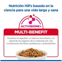 Hills Science Plan Canine Mature Adult 6+ Razas Grandes