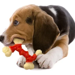 Juguete Nylabone Doble Sabor Bacon DuraChew