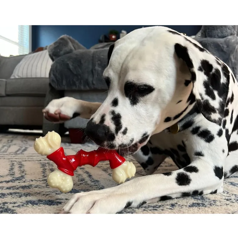 Juguete Nylabone Doble Sabor Bacon DuraChew