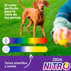 Juguete Zeus Nitro Bola Lastrada para Perros