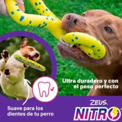 Juguete Zeus Nitro Bola Lastrada para Perros