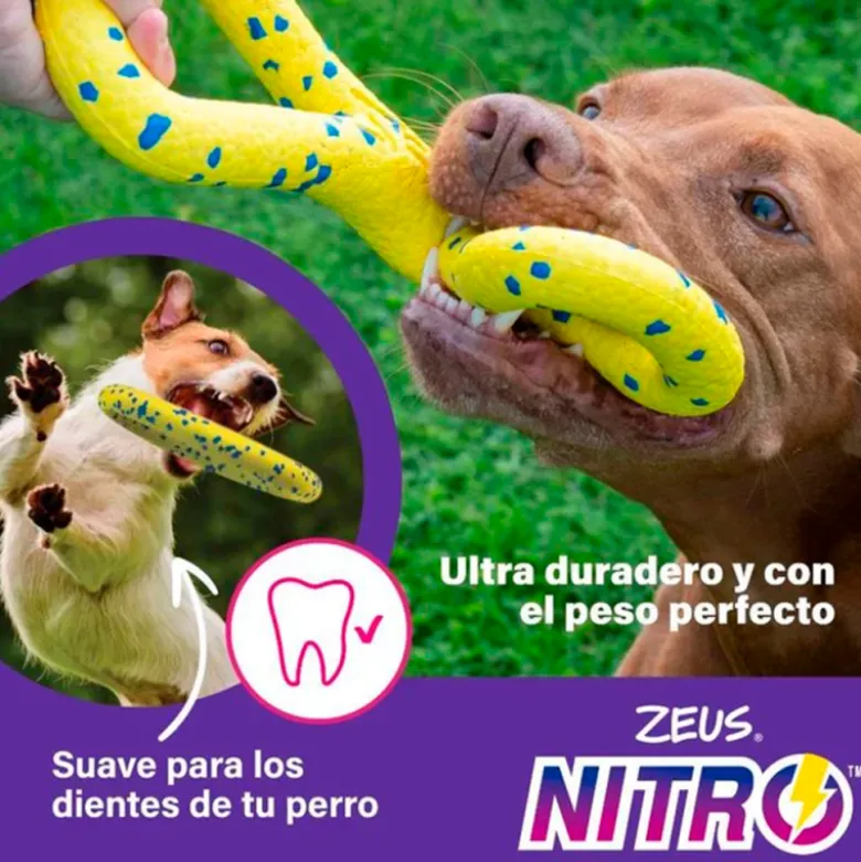 Juguete Zeus Nitro Bola Lastrada para Perros