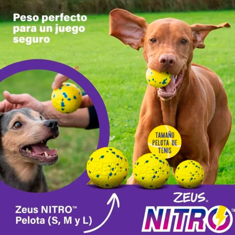 Juguete Zeus Nitro Bola Lastrada para Perros