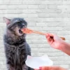 Kit Cat FilletFresh Atún y Fibra Hairball para Gatos