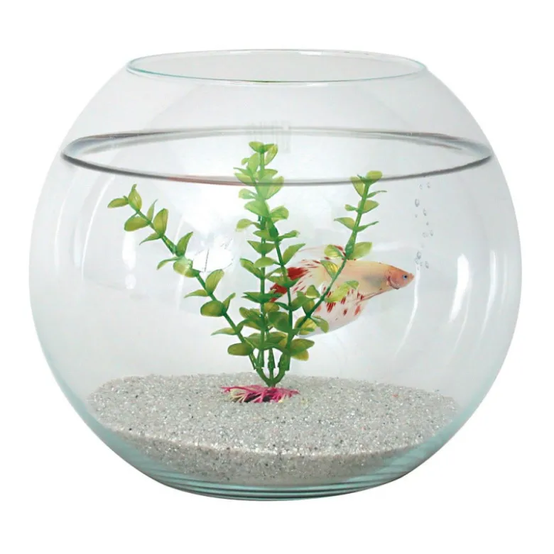 Kit Pecera Redonda Zolux de Cristal 7L para Peces
