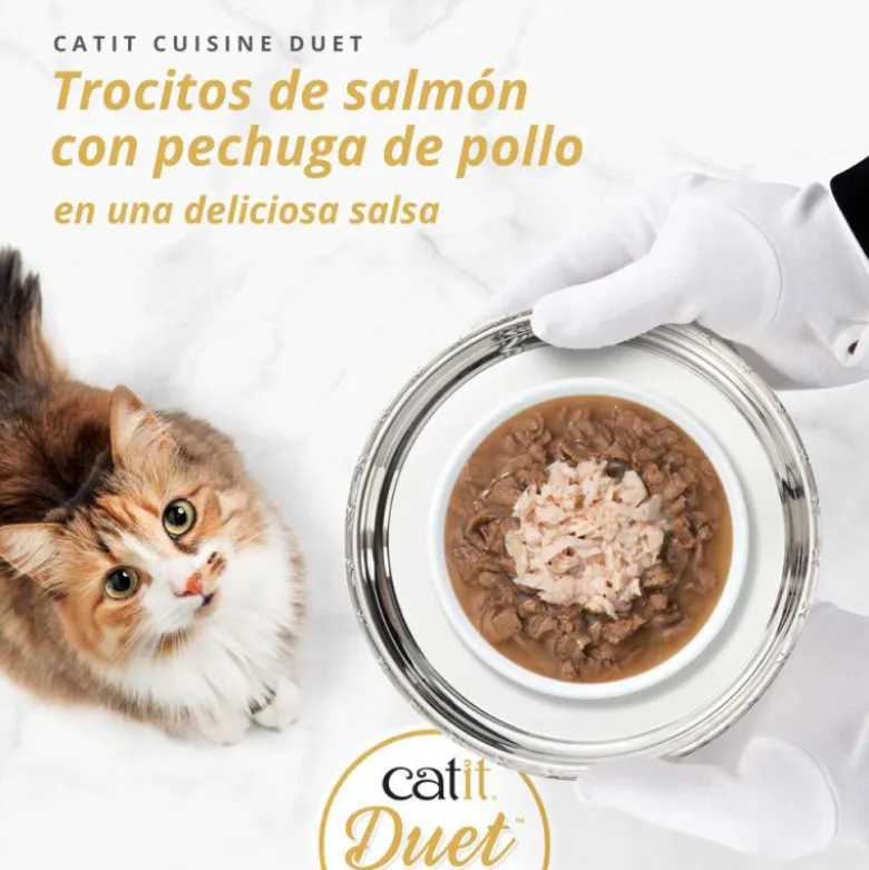 Lata Catit Cuisine Duet de Salmón con Pollo para Gatos