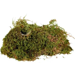Musgo Húmedo Trixie para Terrarios (200g)