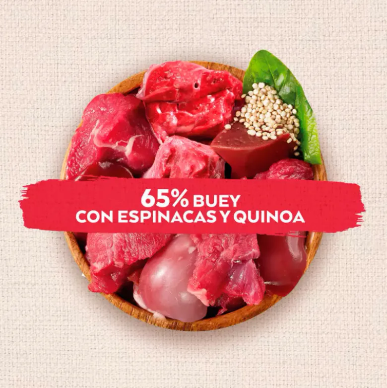 Nature's Variety Snack Ternera para Perros