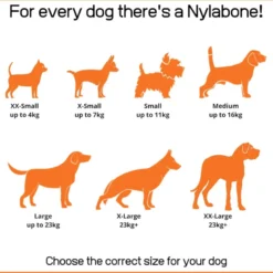 Nylabone Dog Extreme Pollo