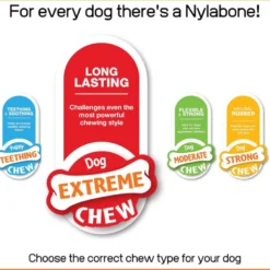 Nylabone Dog Extreme Pollo
