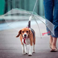 Paraguas Freedog con Correa para Perros
