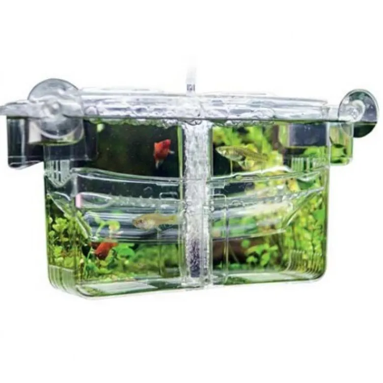 Paridera Con Oxigeno Nido 4 Hobby