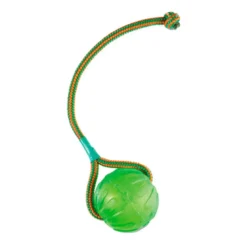 Pelota con Cuerda Starmark Swing n' Fling ChewBall