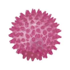 Pelota de Goma con Puntas para Perros