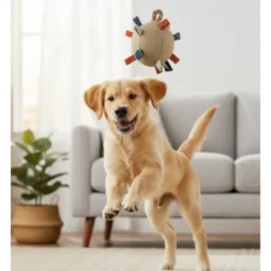 Pelota de Juguete de Tela con Salientes para Perros