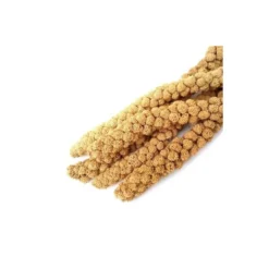 Pilesan Panizo Espiga 500g