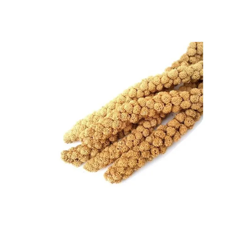 Pilesan Panizo Espiga 500g