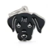 Placa Identificativa Perro Labrador Negro