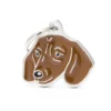 Placa Identificativa Perro Teckel Dachshund