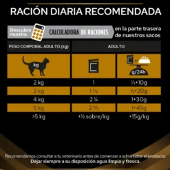 Purina Pro Plan Veterinary Diets Feline NF Advanced Care Sobre Salmón 85g