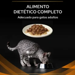 Purina Pro Plan Veterinary Diets Feline OM Sobre 85g