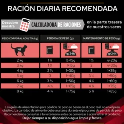 Purina Pro Plan Veterinary Diabetes Management DM Sobre 85g