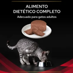 Purina ProPlan Veterinary Diet Feline DM 195gr
