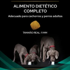 Purina Veterinary Diet Canine EN Gastrointestinal