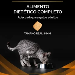 Purina Veterinary Diet Para Gatos OM (Obesidad)