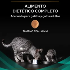 Purina Veterinary Diet Para Gatos EN (Gastrointestinal)