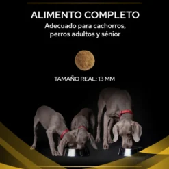 Purina Veterinary Diets JM Joint Mobility