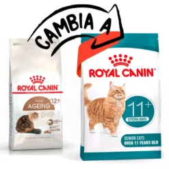Royal Canin Ageing 11+ Sterilised Senior Pienso para Gatos