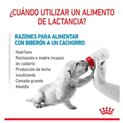 Royal Canin Babydog Milk