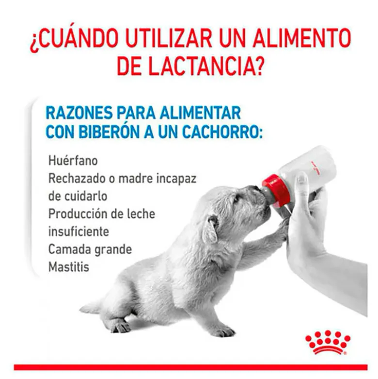 Royal Canin Babydog Milk