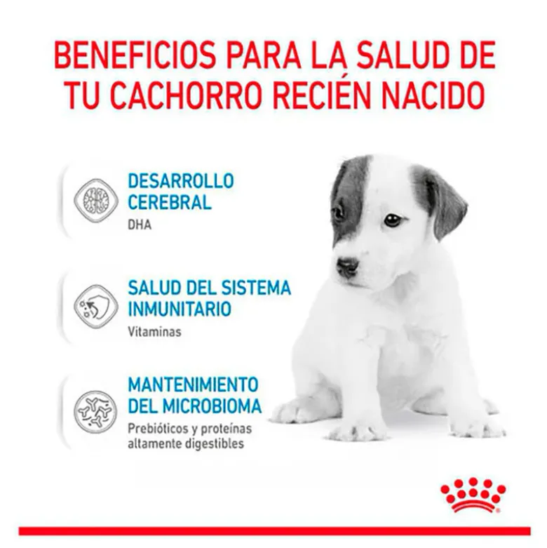 Royal Canin Babydog Milk