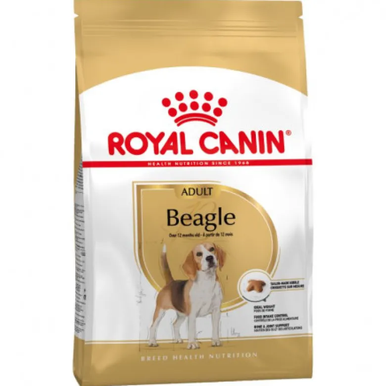 Royal Canin Beagle adulto