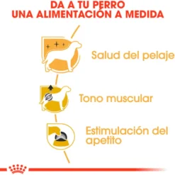 Royal Canin Caniche Poodle Adult Sobre 85g