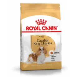 Royal Canin Cavalier King Charles