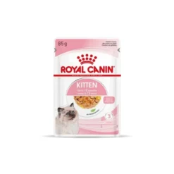 Royal Canin Gatos Kitten Gelatina