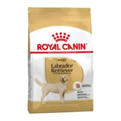 Royal Canin Labrador Retriever