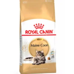 Royal Canin Maine Coon 31
