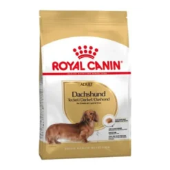 Royal Canin Mini DACHSHUND Teckel