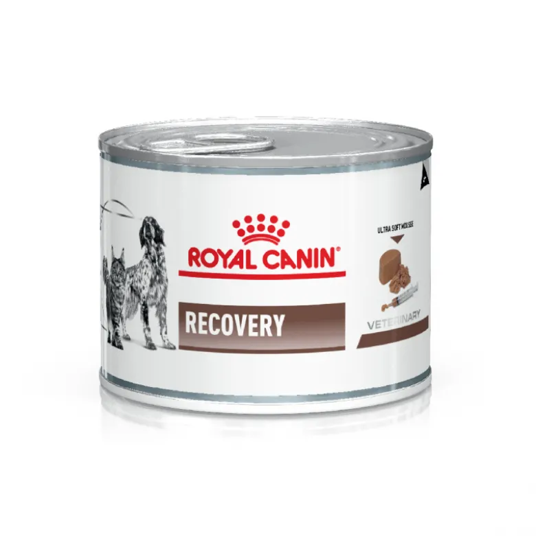 Royal Canin Recovery 195g