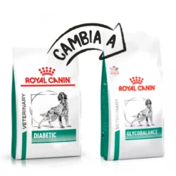 Royal Canin Vet Diet Diabetic GlycoBalance para Perros