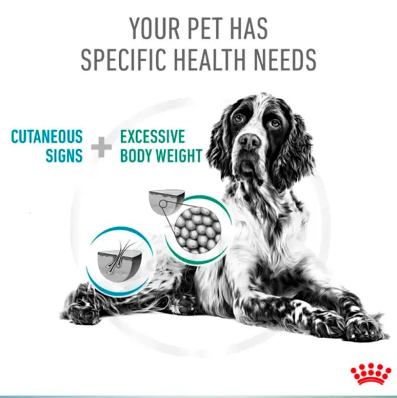 Royal Canin Veterinary Diet Hypoallergenic y Satiety para Perros
